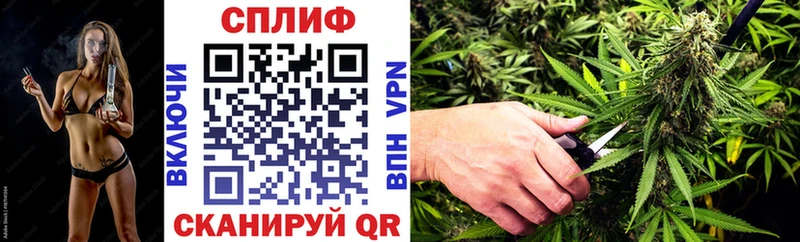 Псилоцибиновые грибы Вилюйск
