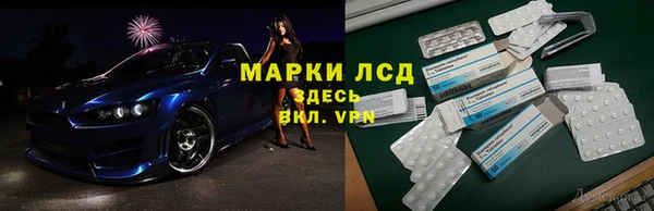 ГАЛЛЮЦИНОГЕННЫЕ ГРИБЫ Алексин