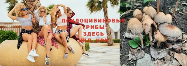 ГАЛЛЮЦИНОГЕННЫЕ ГРИБЫ Алексин