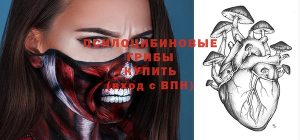 гашик Алзамай