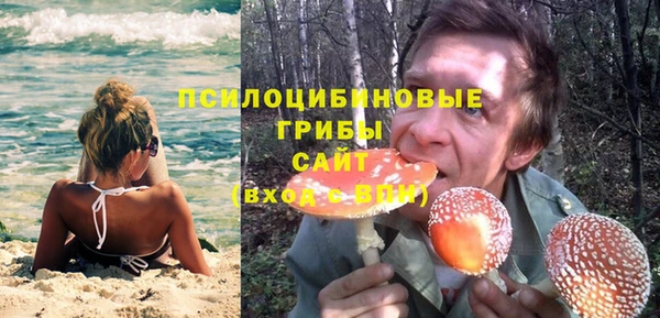 индика Абаза