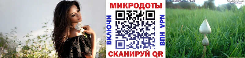 Галлюциногенные грибы MAGIC MUSHROOMS  ОМГ ОМГ ссылка  Вилюйск 